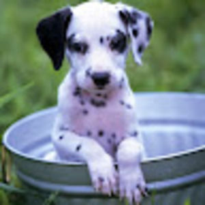 Meet your Posher, Briana